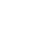 Spider Control